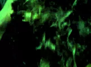 My cute girlfriend blows my black cock in pov