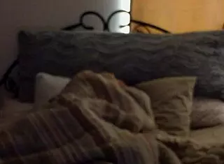 newlyweds fucking like crazy