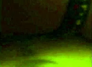 One Night Stand on the Street