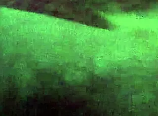 blonde with big tits gives an amazing blowjob