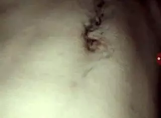 Handsome gay guy performs in an attractive show