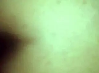 Wife's Tight Ass Spread Open for Intense Fucking