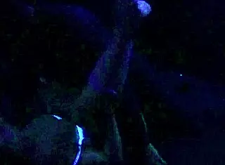 Scarlett Johnson Engages in Blacklight Sex with Fetish Elements