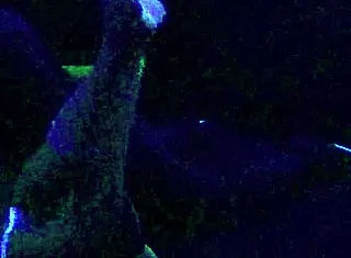 Scarlett Johnson Engages in Blacklight Sex with Fetish Elements