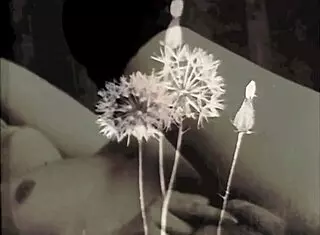 A Grandmother's Wild Journey Through the Swinging Sixties Era