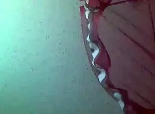 Jared Surrat And Mz Juicy In Amateur Scenes