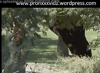 Big tits bouncing in sports action