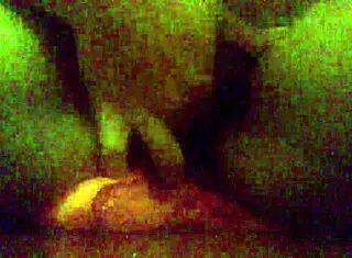 Bisexual Meeting on March 3, 2018