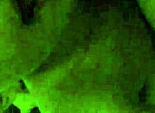 Td2 Makes Love with His Lover