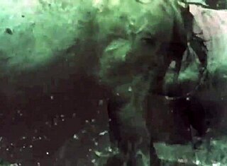 Tuffati nelle vibrazioni retrò con lo showcase di tette naturali pelose di Dark Lantern Entertainments