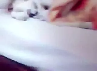 Asian babe endures intense anal assfucking with new friend