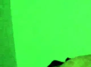 Amateur Video Capture In Action!