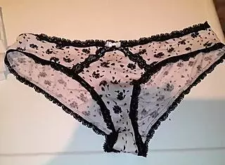 Used Panties From 20-Year-Old Niece In High Definition