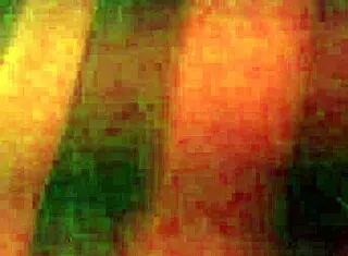 BBW Wife Rides Huge Cock Hard!