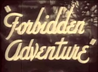 Vintage Beauty And The Beast