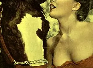 dark lantern presents women with animals in erotic confessions