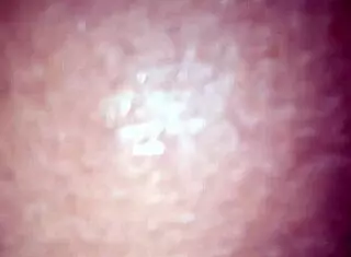 wet pussy hoe gets her dripping cunt licked and fucked hard in the bedroom