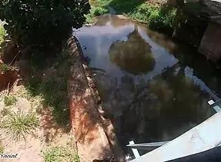 Ebony Cousin Deepthroats Big Cock