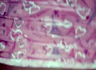 filling that ass with cum, damn!