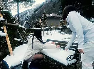 white cat mya and snow sculpture art in nacchi travel