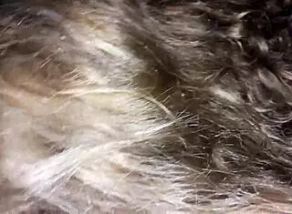 alluring oral pleasure leading to orgasm