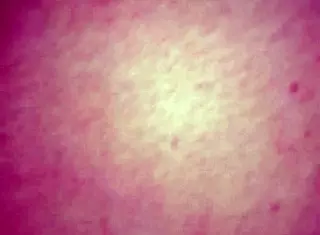 Homemade Amateur Anal Ass Fucking