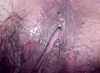 the story of a japanese wife in her daily life