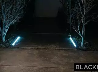 Thirsty Kira Craves BBC in Raw Doggy!