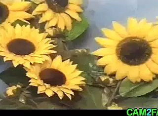 Teen with small tits gets blowjob titty fuck and cumshot