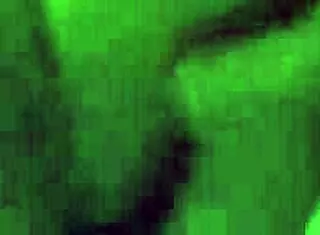 Stranger fucked my tight pussy while cuckold filmed