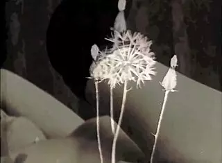 Vintage Pornography Threesomes Featuring Mature Women.