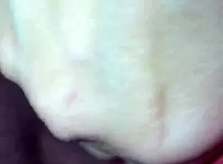 Amateur Toy Exploration