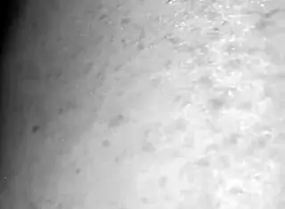 Amateur Big Booty Redhead Milf Gets Stretched Out And Creampied By Bbc Damian Sanchez