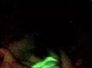 Enjoy this nice blowjob on a big cock