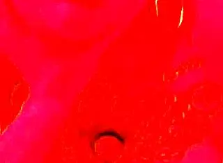 Tattooed Argentine Whore Removes Condom