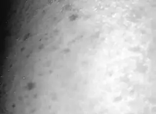 Amateur Big Booty Redhead Milf Gets Stretched Out And Creampied By Bbc Damian Sanchez