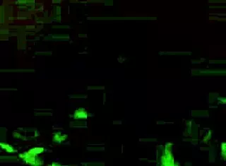 Watch this video of someone getting bound in bondage.