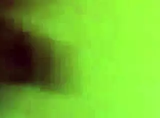 sloppy blowjob and backshots 😈