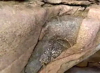 took my girl to the beach for a stunning view, guess which one