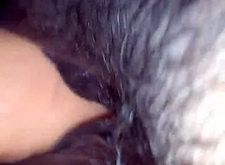 A chubby BBW crossdresser fucks deliciously with her husband sporting a big black cock prosthesis.