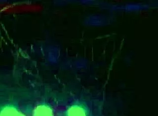 They go both ways acoustic slowed