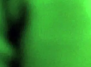 Dayanara dexter main 1