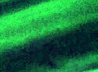 Twink patient gets fucked by nurse in hospital group sex