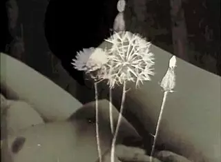 exploring vintage secrets in private life with hairy details