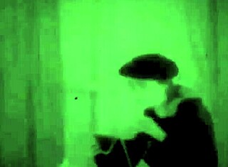 omg, jeg kan ikke tro disse vintage tilståelser om kvinder med dyr...