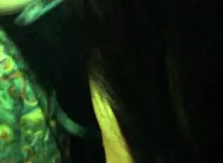 I sucked asian cock in threesome, ohh!