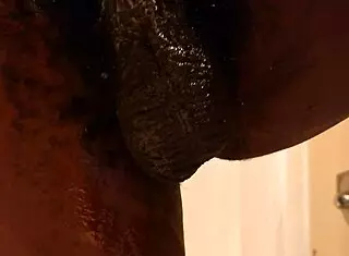 Hallelujah Johnson Feels Ecstasy With Sex Toy