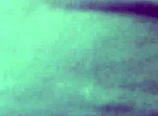 Aparna wears petticoat and panties in amateur video