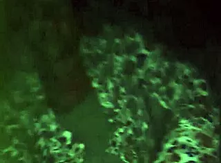 Naejae Demands Intense Toy Play Leading To Squirting