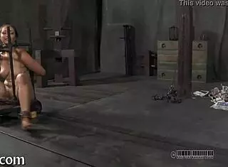 four petite gals in a cage